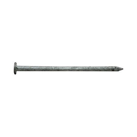 Pro-Fit Common Nail, 2-1/2 in L, 8D 0054155